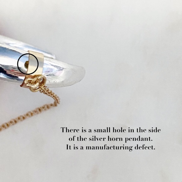 🆑 "Kinsey" Necklace || Silver & Gold Horn Pendant - Picture 13 of 15